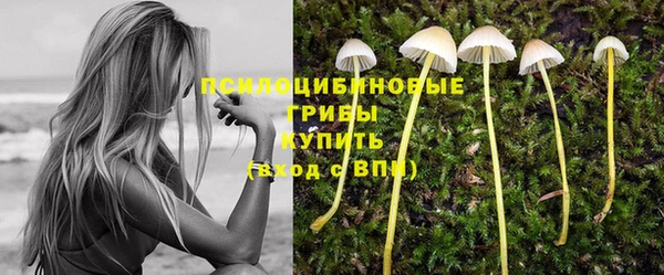 MESCALINE Гусиноозёрск