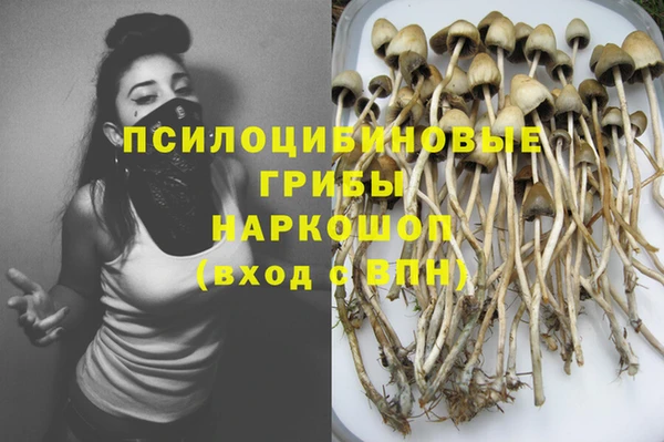 apvp Абаза