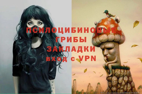 гидропоника Абдулино
