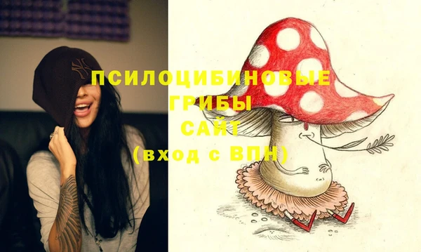 спиды Алзамай
