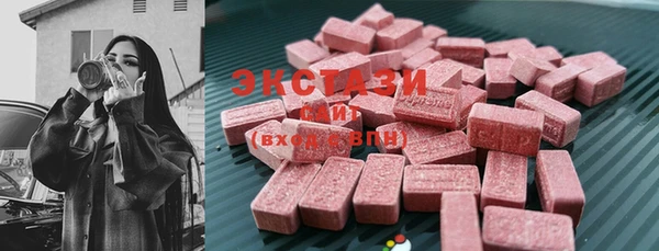 ECSTASY Краснослободск