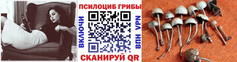 Галлюциногенные грибы ЛСД  Мосальск 